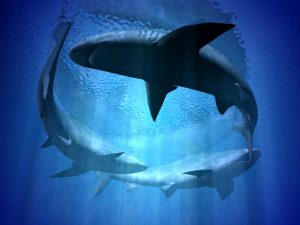 Circling Sharks: how to repel sharks