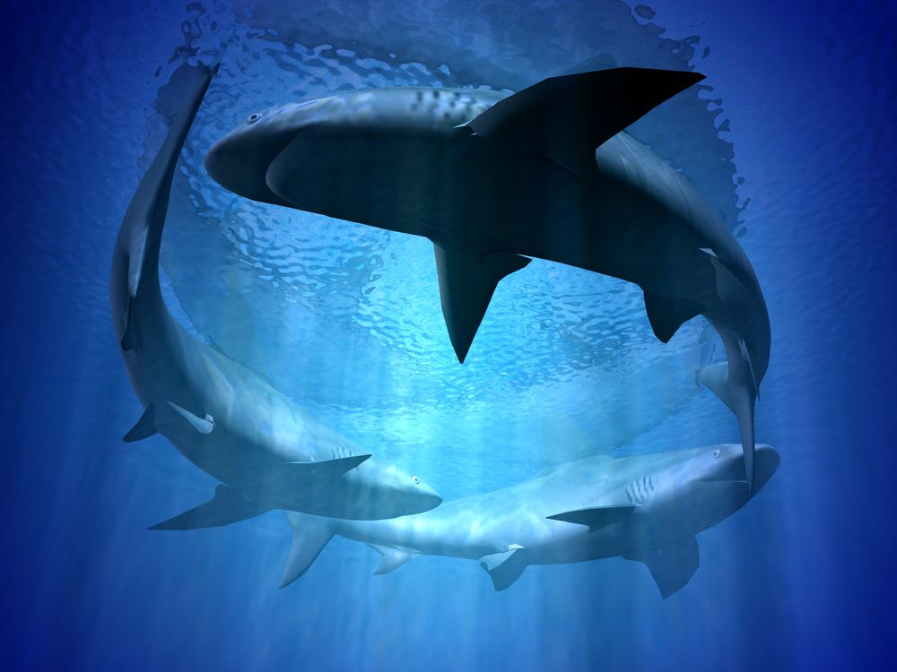 Circling Sharks: how to repel sharks