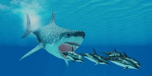 Megalodon shark chasing dolphins