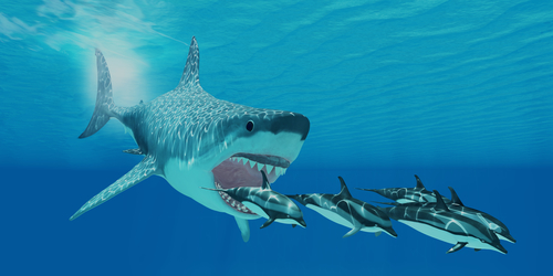Megalodon shark chasing dolphins