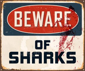 Shark caution sign but humans are killing sharks more 