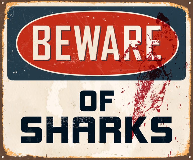 Caution sign but humans are killing more sharks