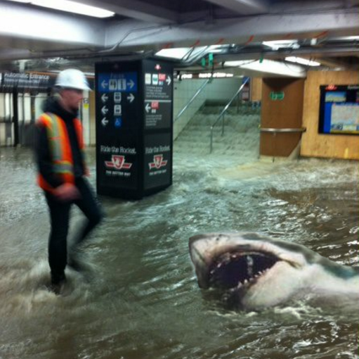 Fake shark picture at Union station