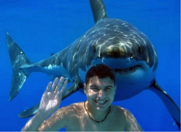 Fake shark pictures: Boy waving with a shark behind him