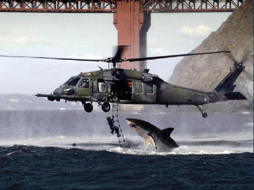 Shark about to attack military personnel hanging from a helicopter