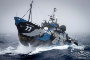Sea Shepherd's 'Battle Ship'