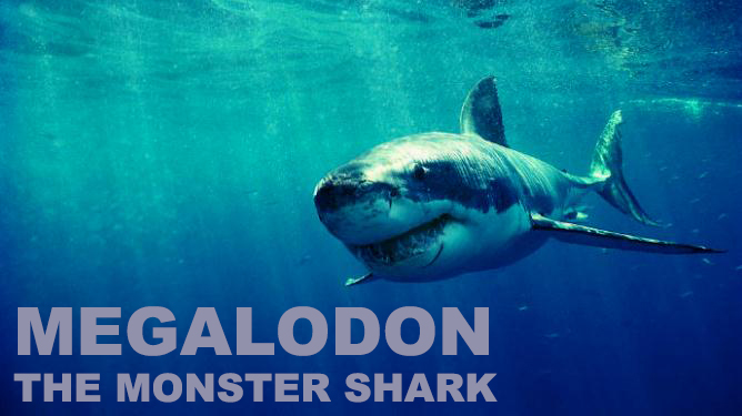 Shark Week Megalodon Banner