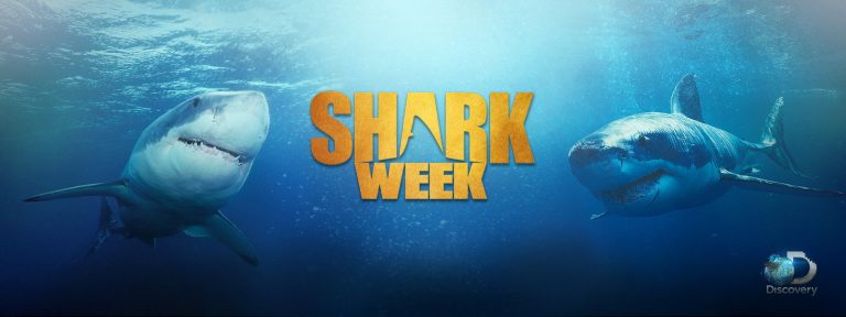 Shark Week Poster