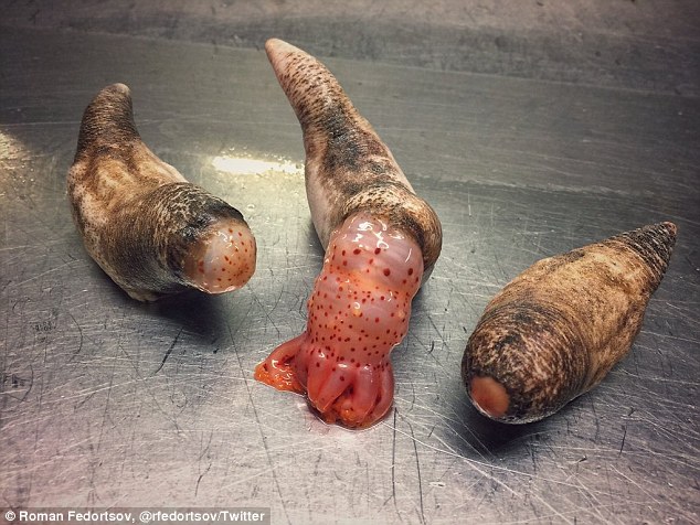 unusual fish