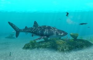 Endless Ocean Whale Shark: Sharks in video games