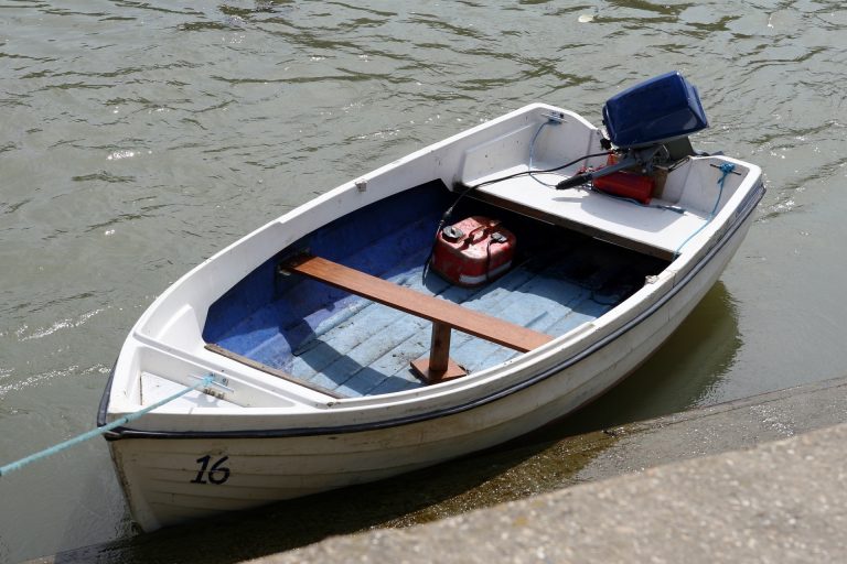 Some Sharks Can catch up with a small boat: Shark Swimming Speed