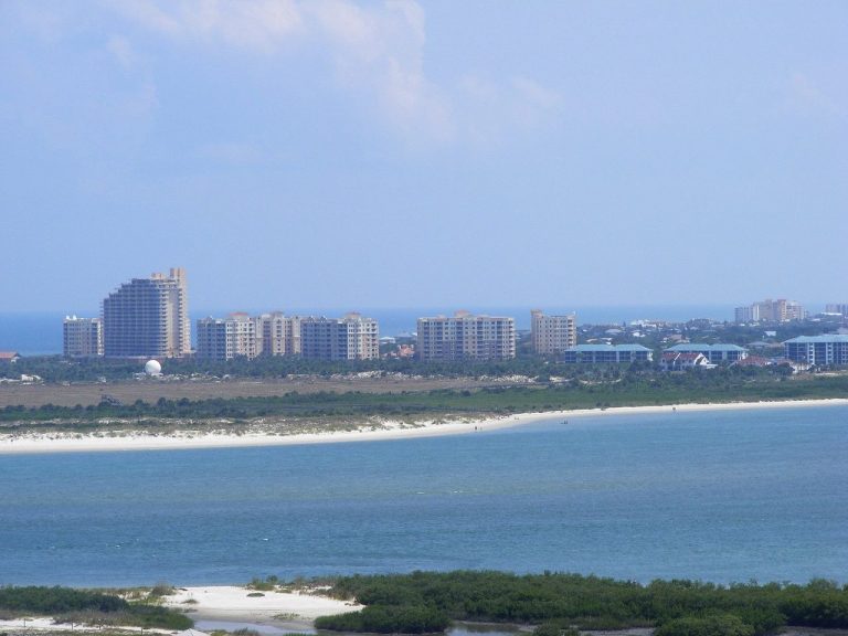 New Smyrna Beach: Shark attack