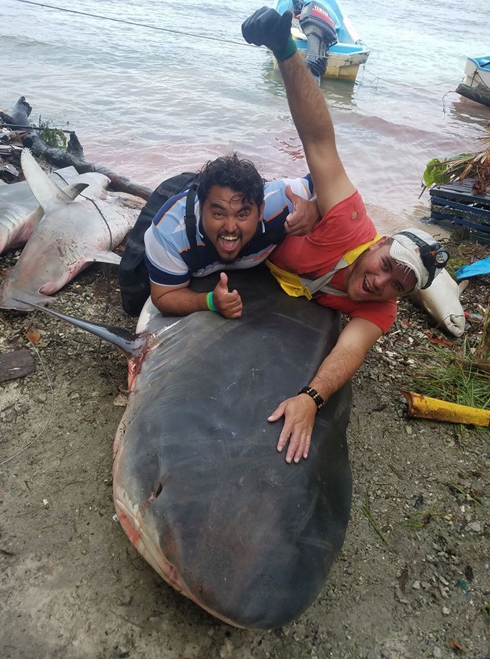 Shark Fishing in Belize