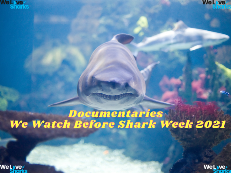 Shark Week 2021