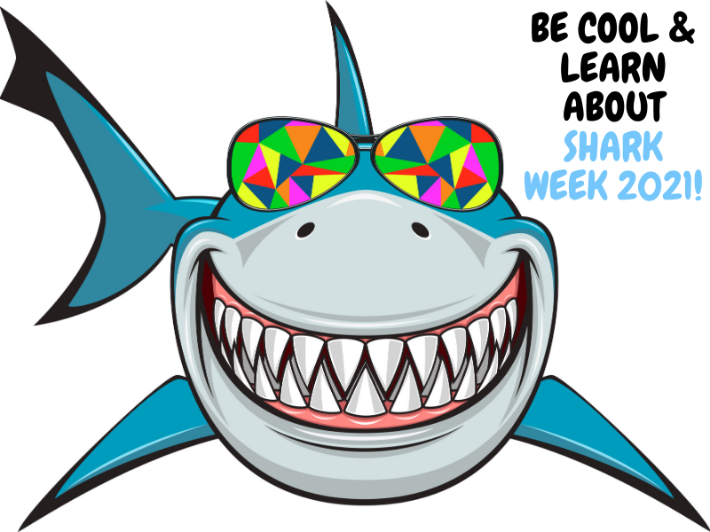 Shark Week 2021