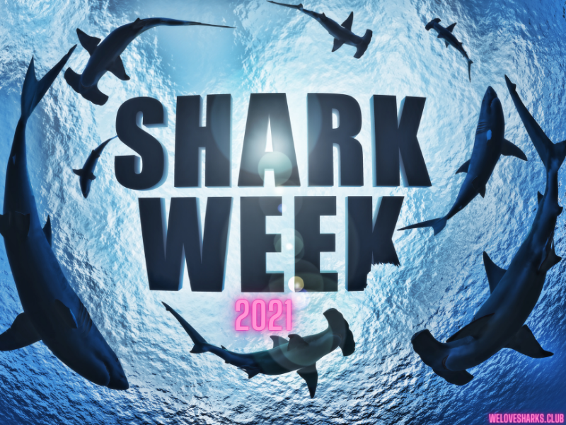 Shark Week 2021
