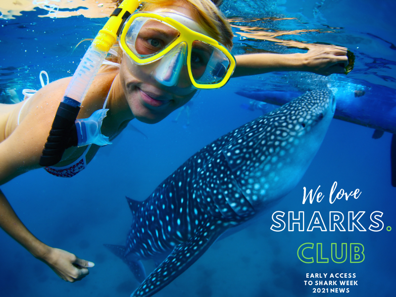 Shark Week 2021 Details
