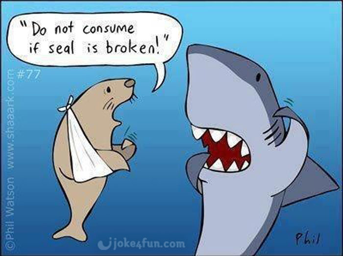 Shark Memes