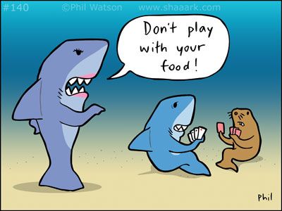 Shark Memes