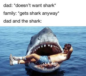 Shark Memes