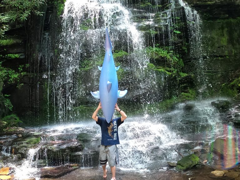 Shark Week 2021