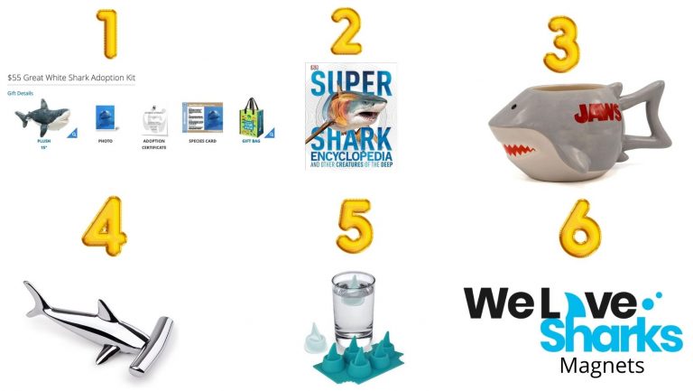 Win during Shark Week