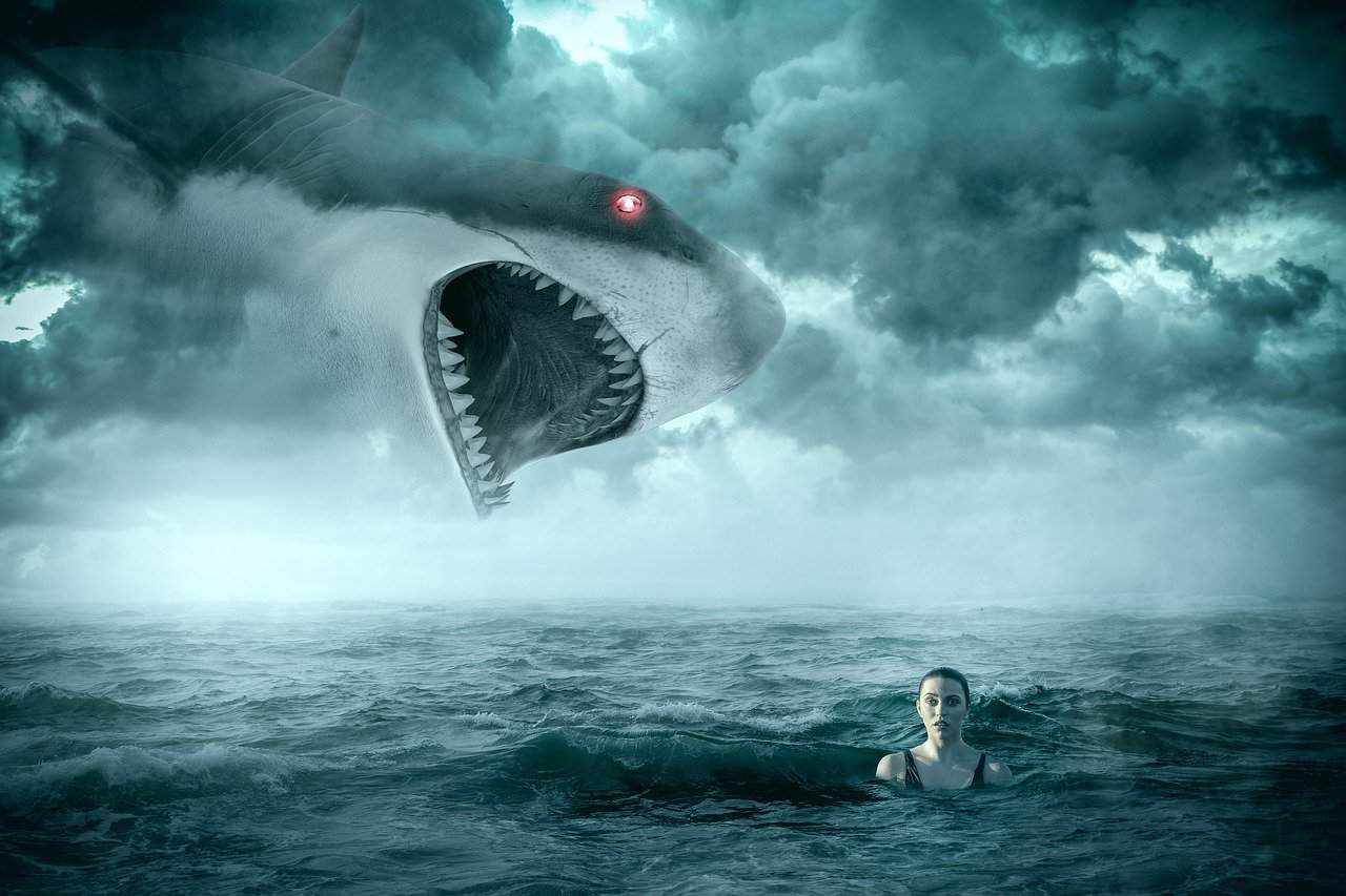 deadly shark attack in Australia