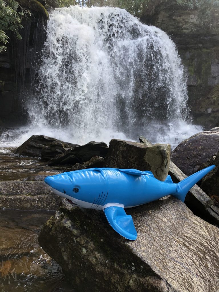 nibbles jr at waterfall