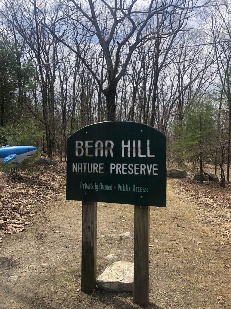nibbles jr at bear hill