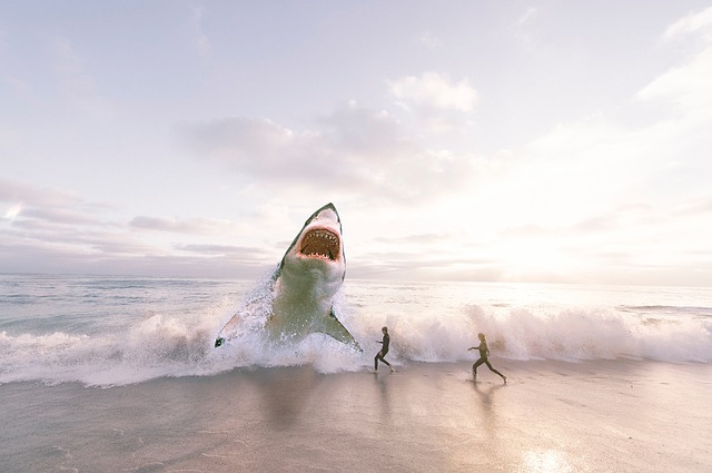 sharkbanz for anglers