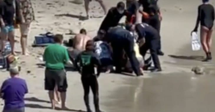 shark attack in Pacific Grove