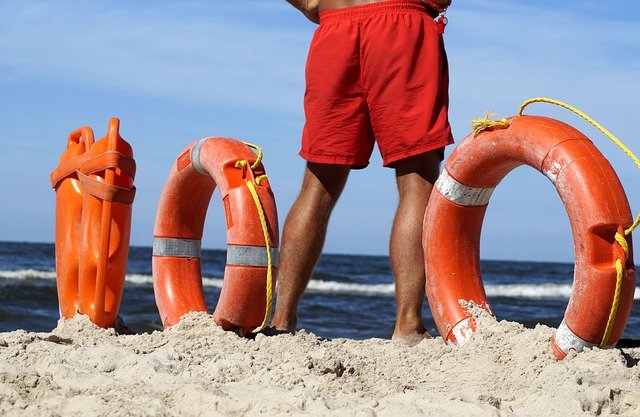 shark patrol long island