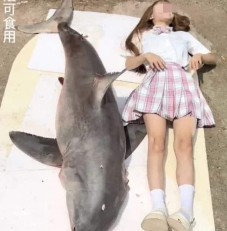 vlogger ate a great white shark