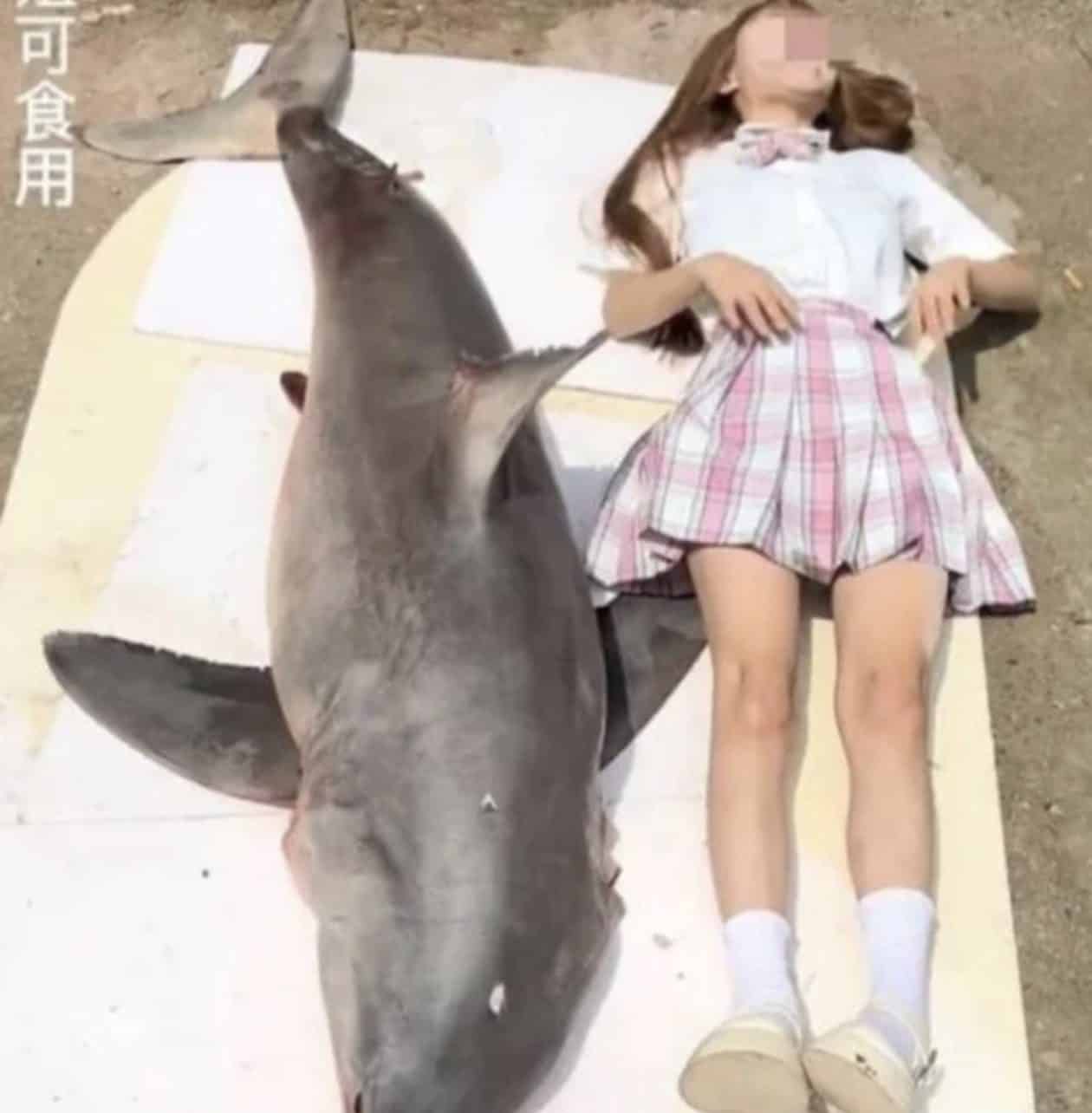 vlogger ate a great white shark
