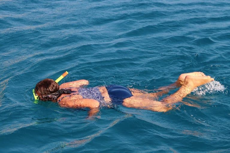 serious shark bite in hawaii