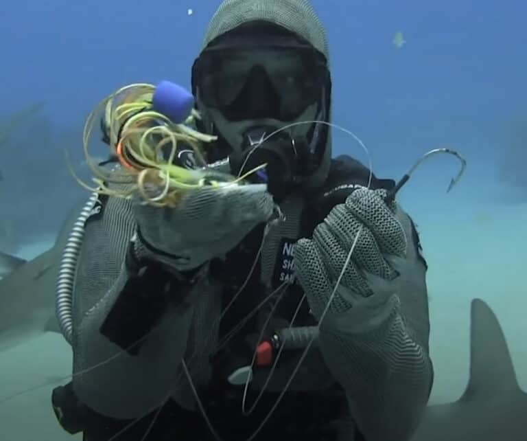 Woman Removes Fishing Hooks from Sharks' Mouths