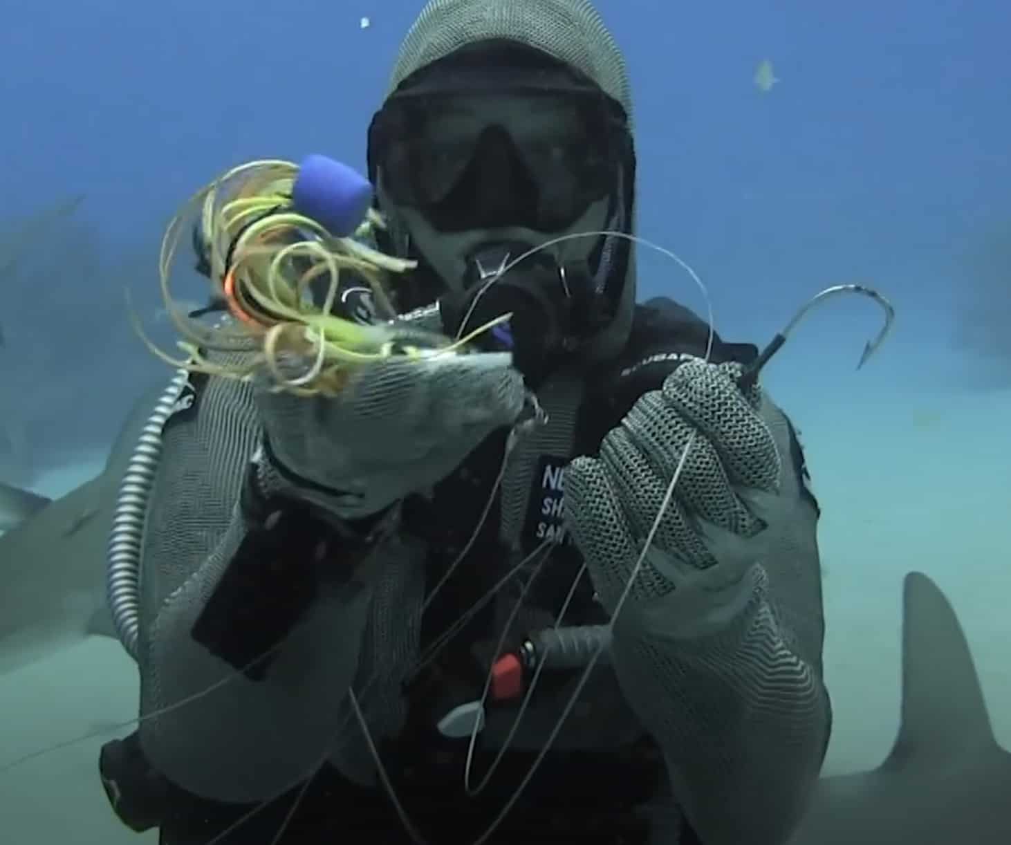 Woman Removes Fishing Hooks from Sharks' Mouths