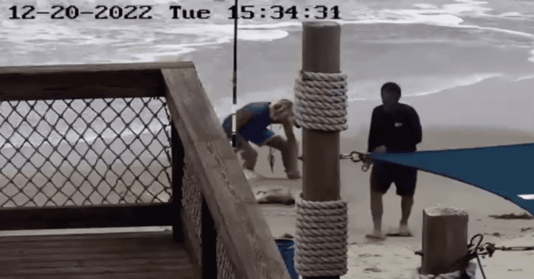 florida man beating a shark with hammer