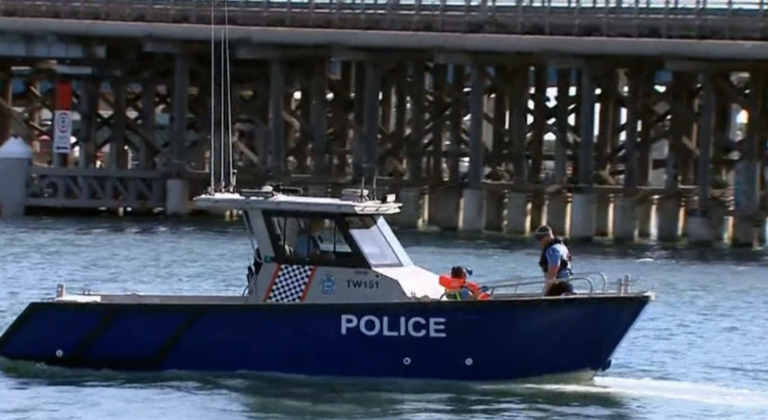 shark patrol in swan river