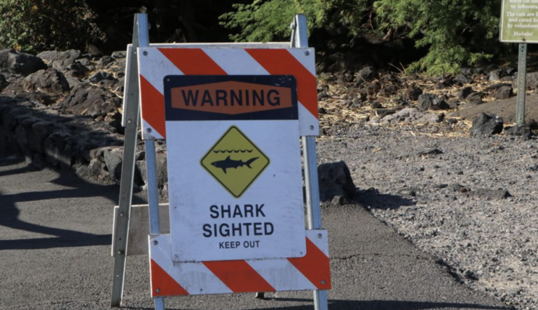 Anaehoomalu Bay shark attack