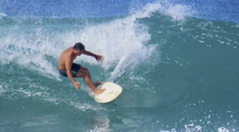 tiger shark attack