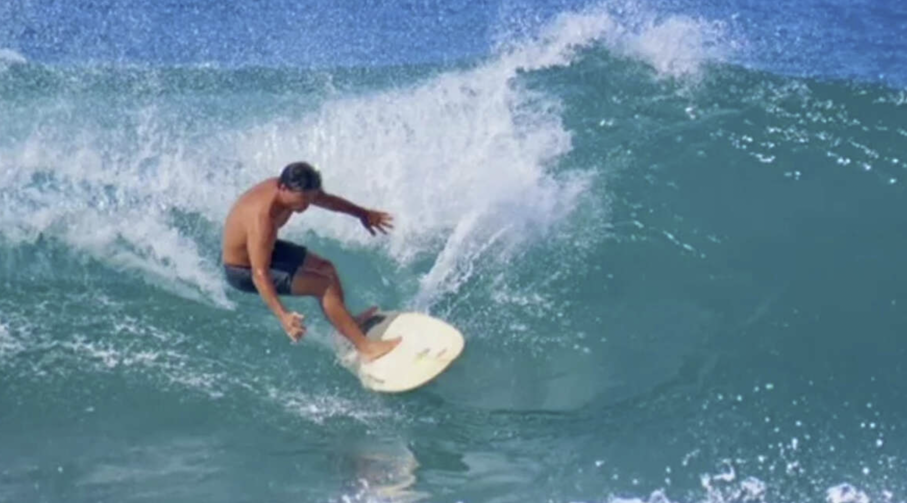 tiger shark attack