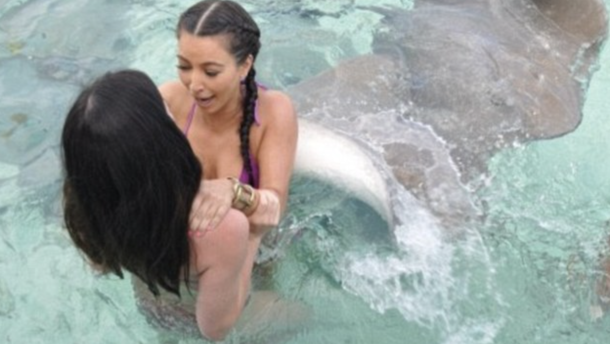 Kim Kardashian swims with sharks