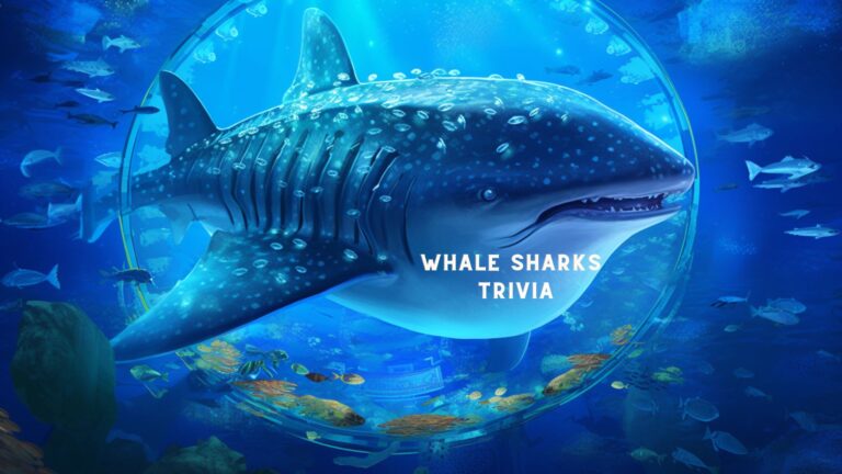 Shark Trivia