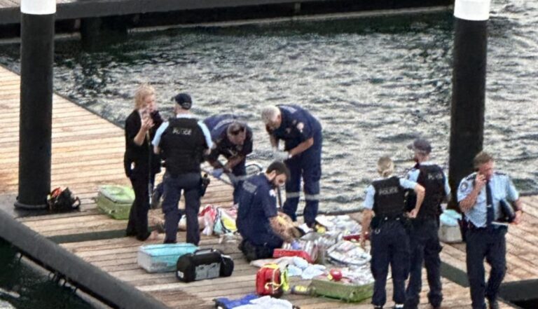 sydney bull shark attack