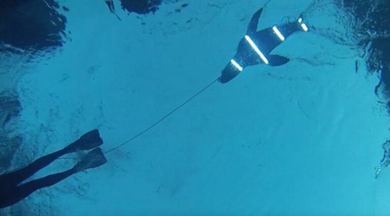 LED lights can deter shark bites